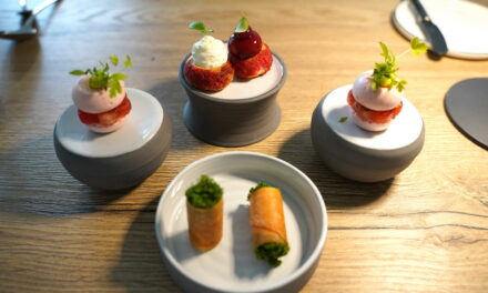 Ausflug zum … Restaurant Harzfenster